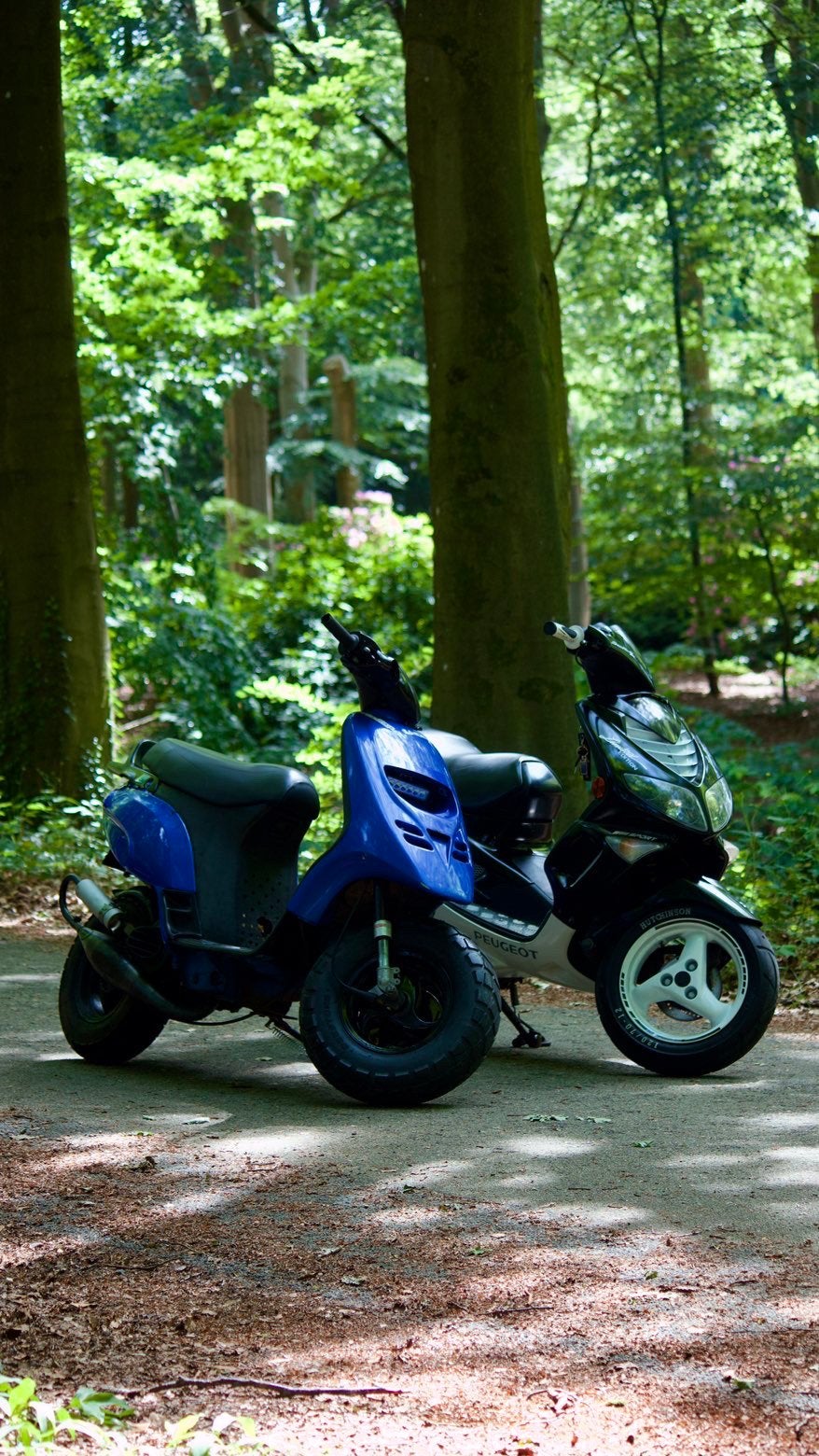Piaggio typhoon, Ophalen, Tweetakt, Overige modellen, Maximaal 45 km/u