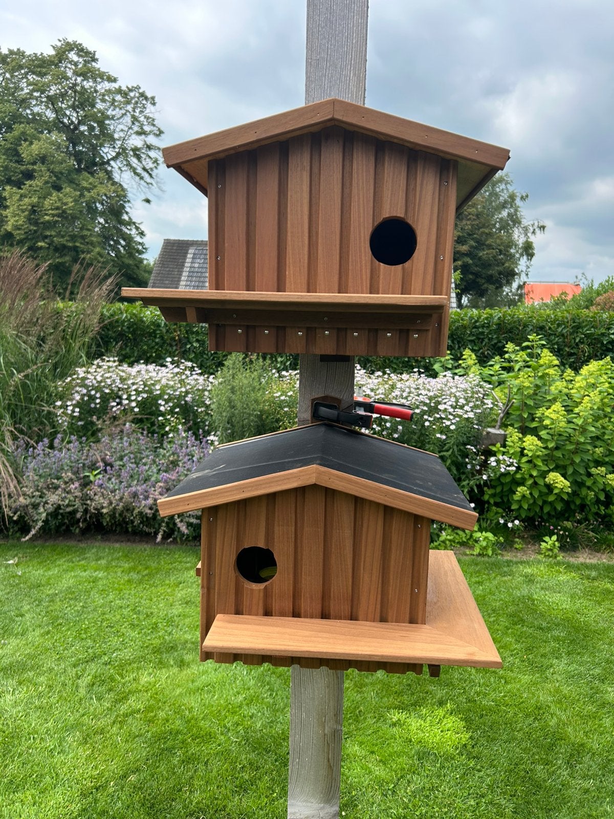 Eekhoorn nestkast, Ophalen of Verzenden, Nieuw