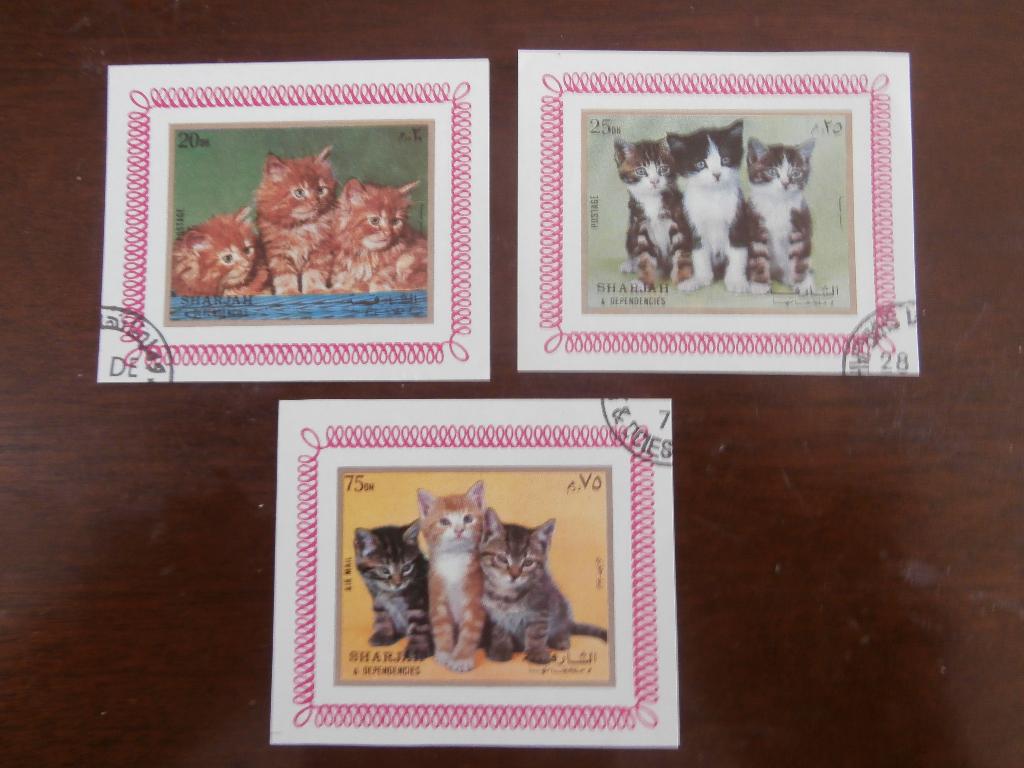 SHARJAH; 3 BLOKJES KATTEN, Postzegels en Munten, Postzegels | Thematische zegels, Verzenden, Gestempeld, Dier of Natuur