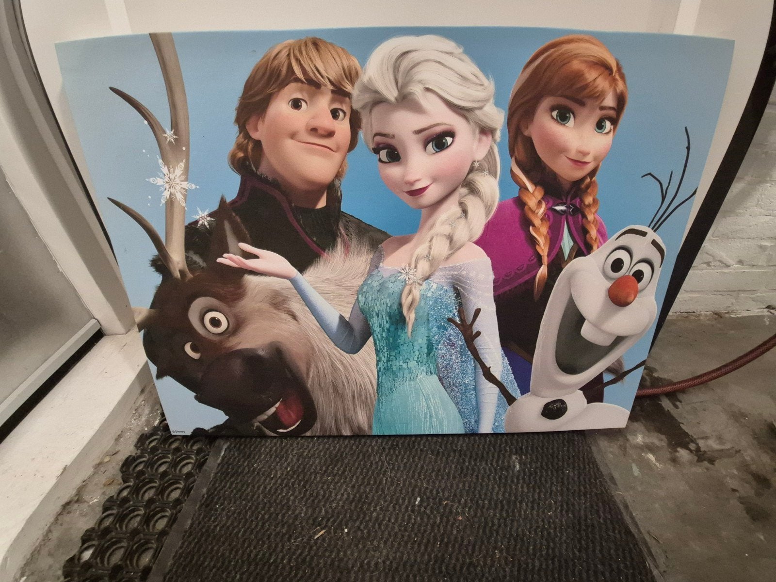 Frozen canvas, Verzamelen, Disney, Ophalen