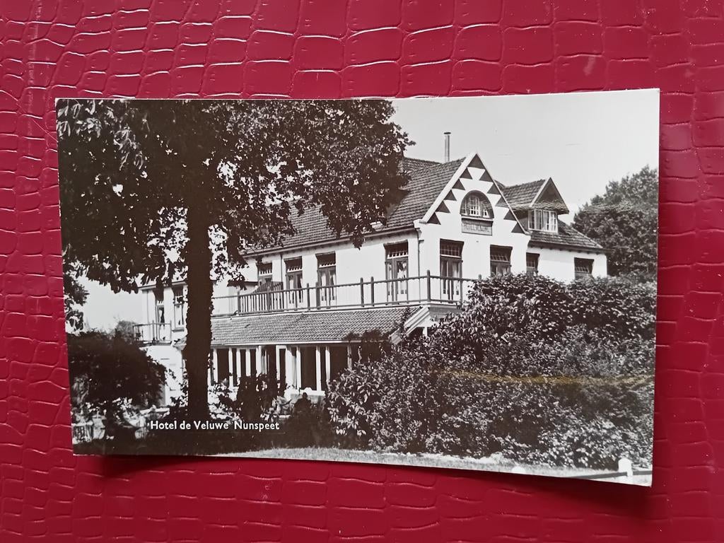 Ansichtkaart Nunspeet, Ophalen of Verzenden, 1940 tot 1960, Gelderland
