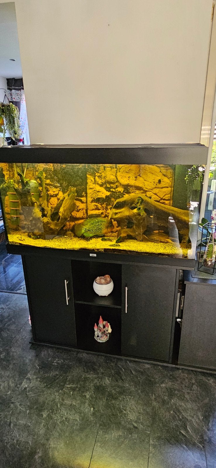 Aqurium 400 juwel met vissen, Ophalen, Gevuld zoetwateraquarium, Juwel