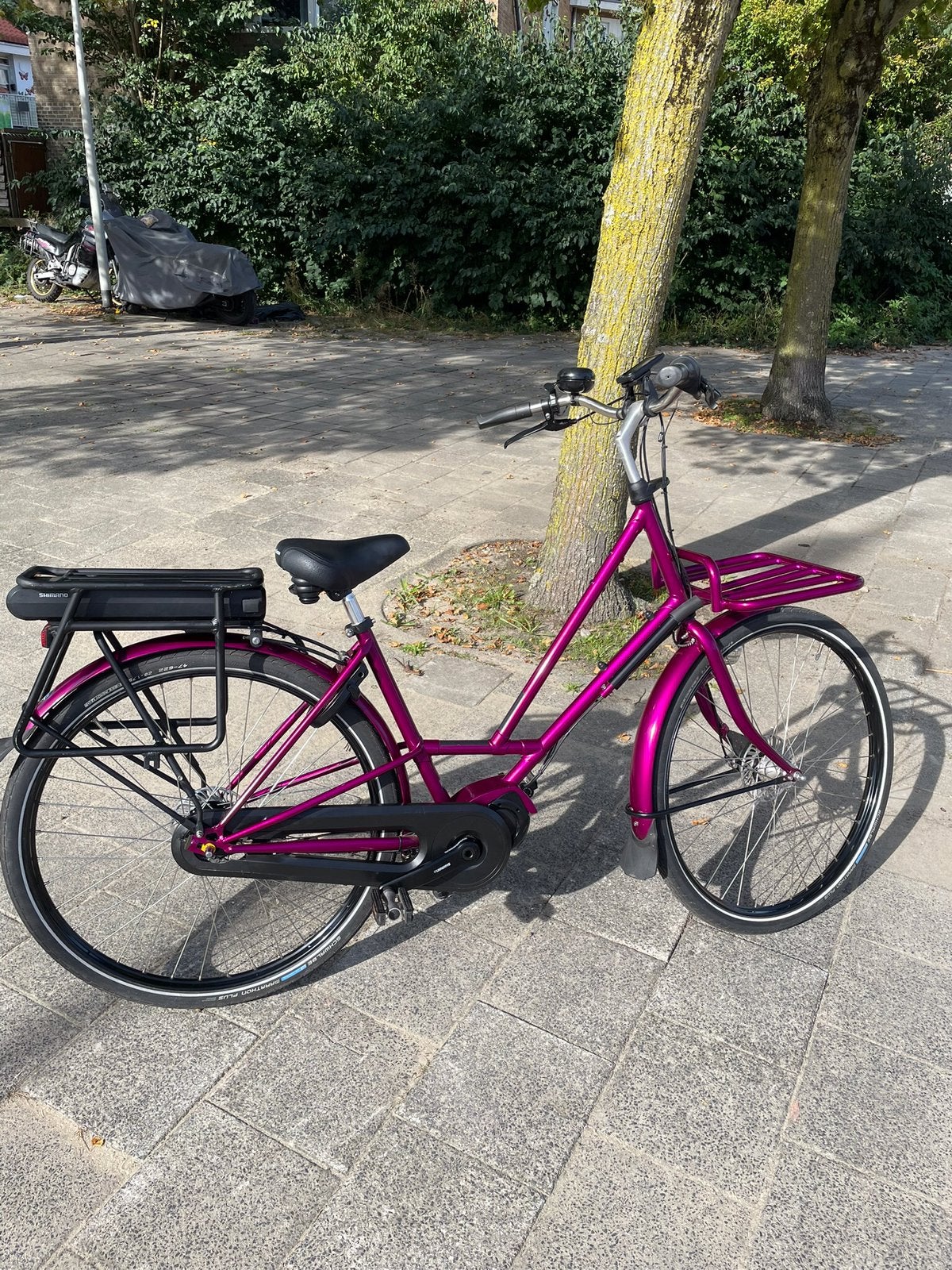 Azor Abdij steps ebike, Ophalen, Zo goed als nieuw, Overige merken