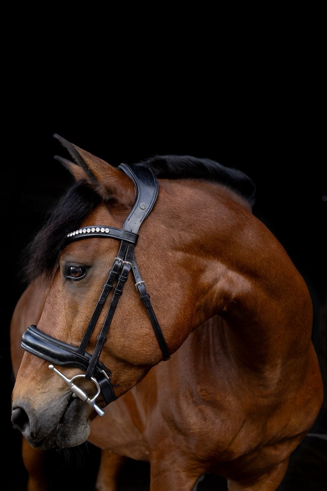 Bomproof ruin, Dieren en Toebehoren, Minder dan 160 cm, Ruin, 7 tot 10 jaar, Recreatiepaard