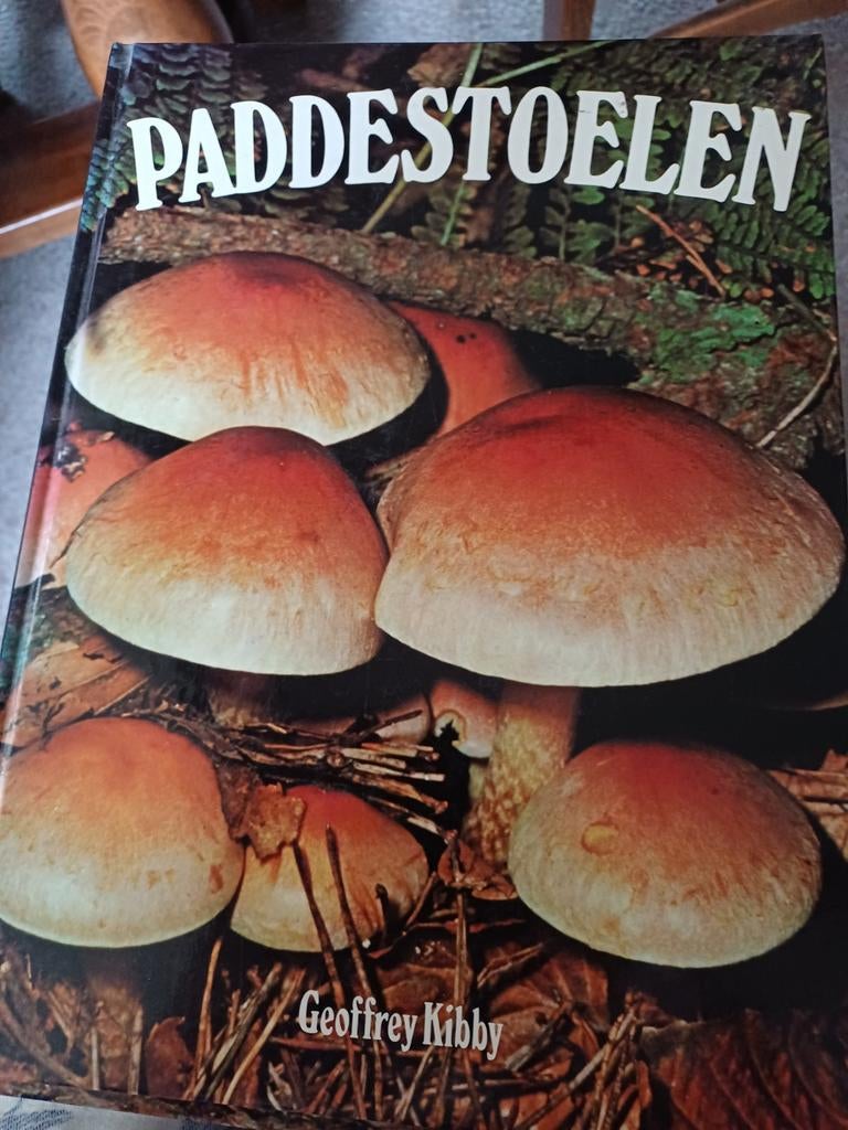 Paddestoelen, Ophalen of Verzenden