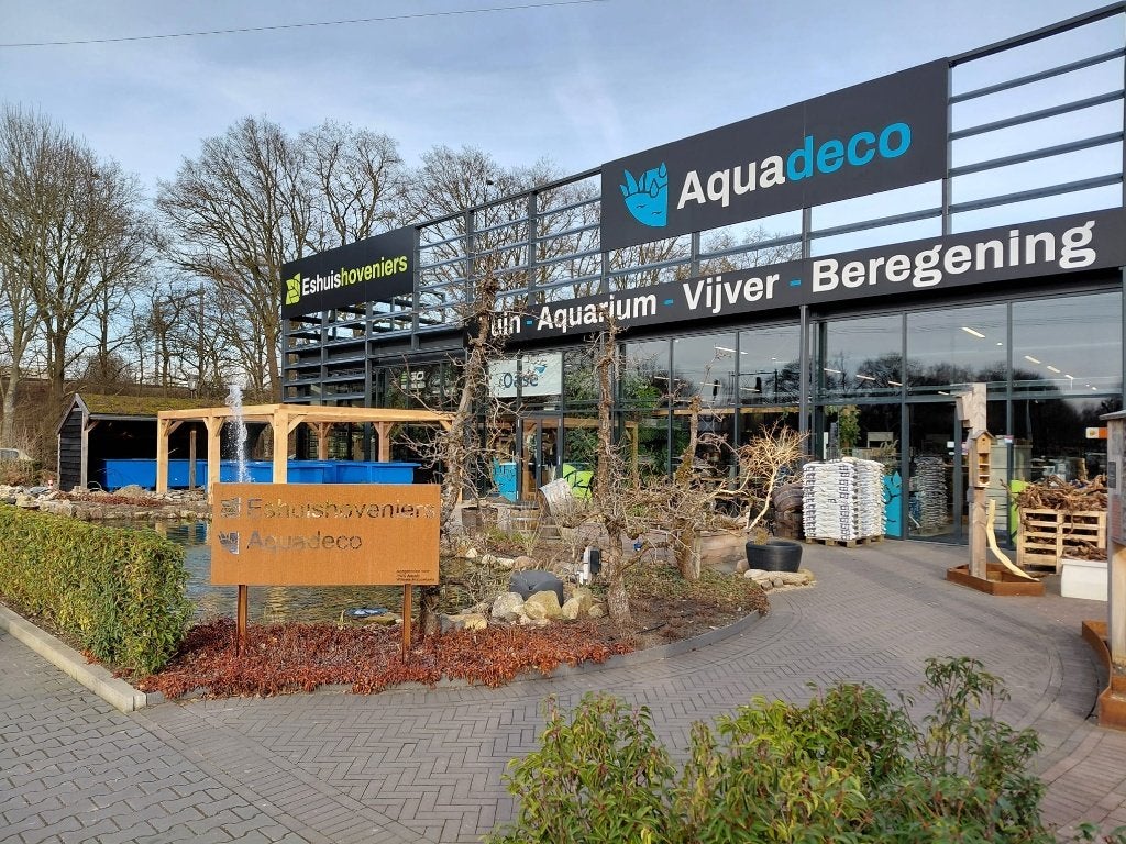 Pre Oder bloembollen, Ophalen, Voorjaar, Volle zon, Knol
