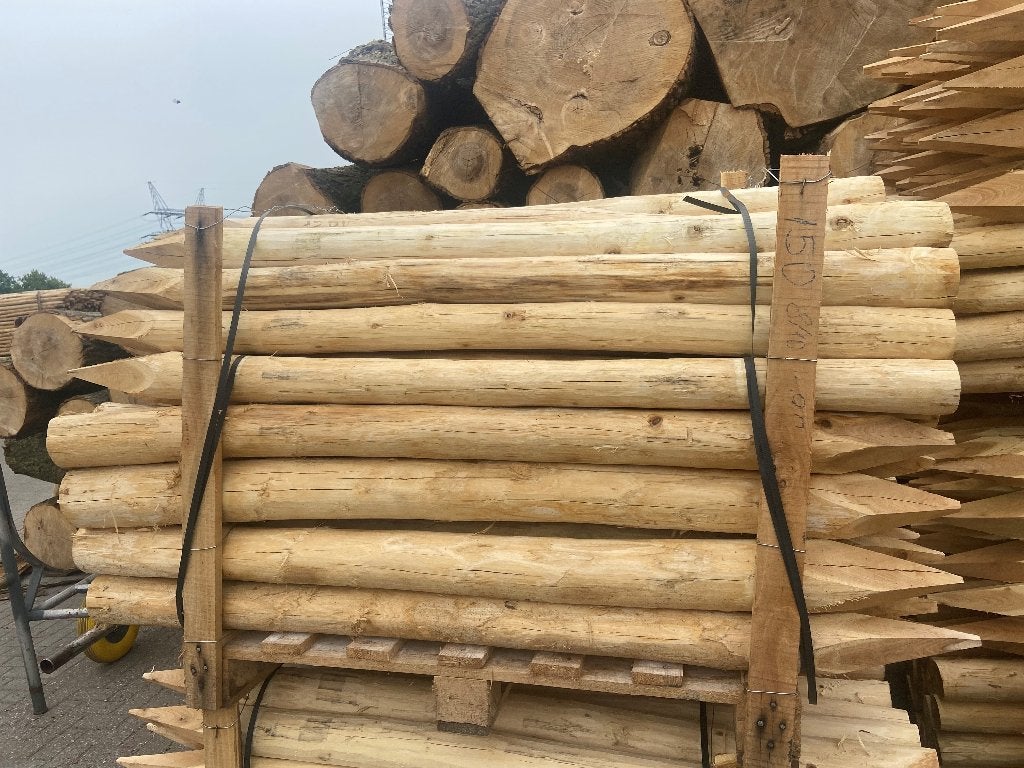 Kastanje en Robinia palen: uit voorraad leverbaar!, Verzenden, Nieuw, 250 cm of meer, Palen