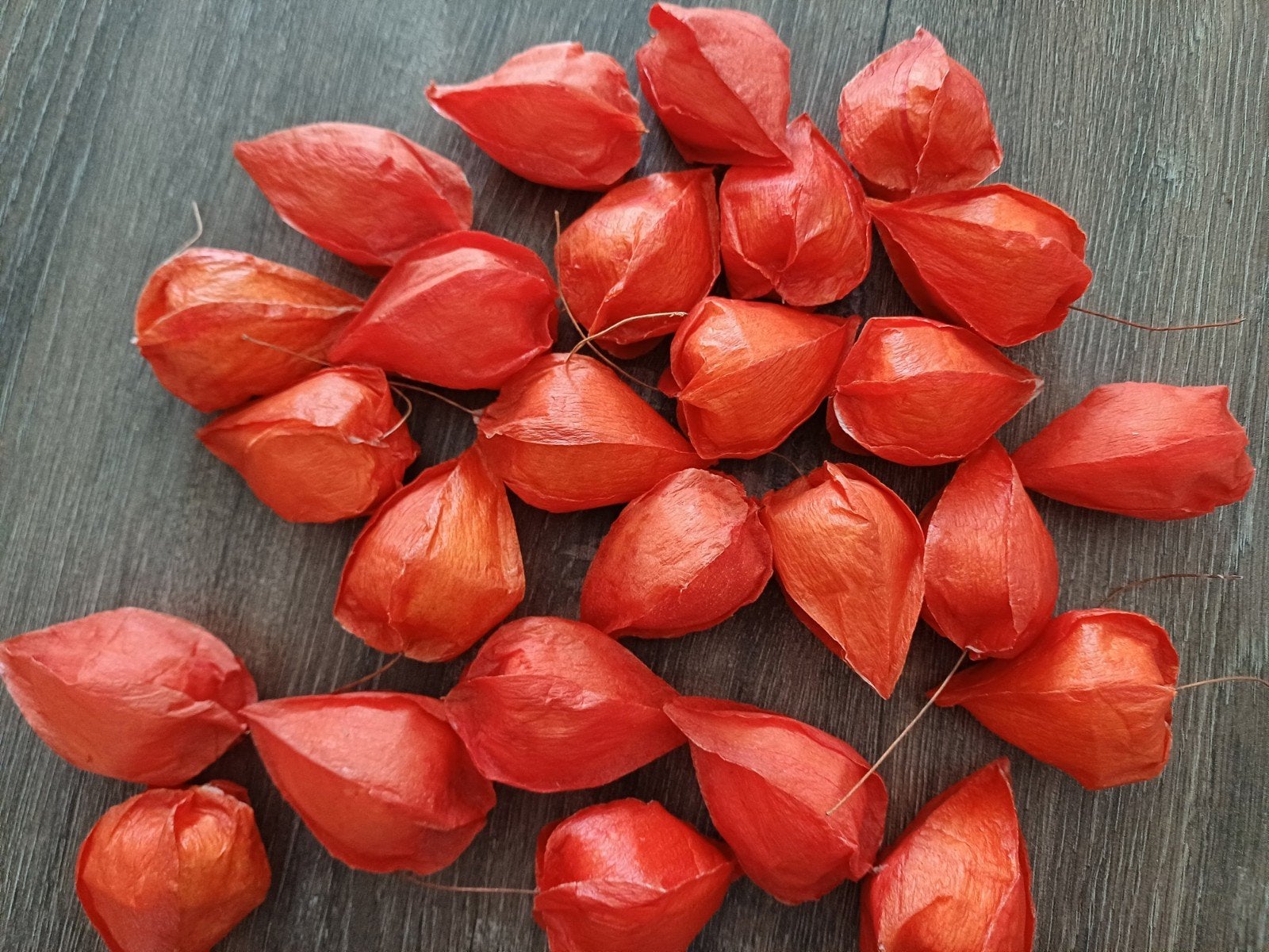 Herfst knutsel/decoratie, Ophalen of Verzenden, Zo goed als nieuw
