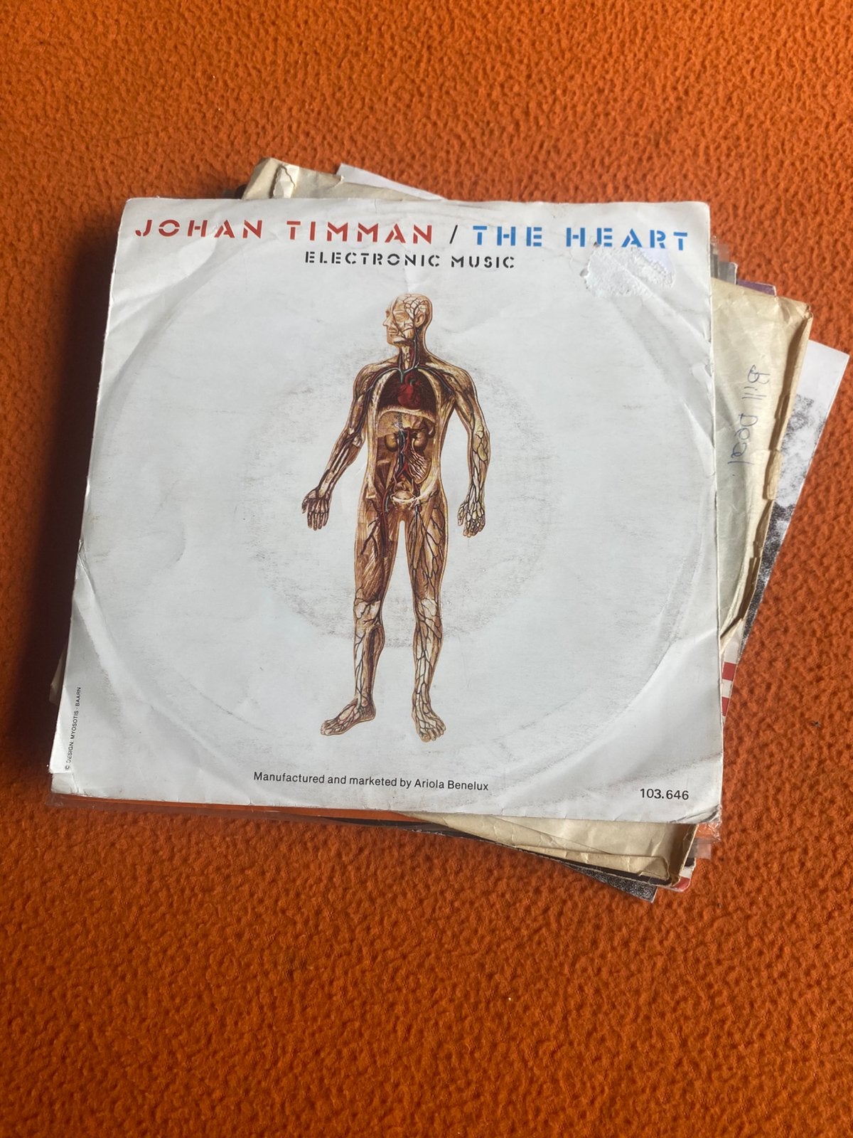 Johan Timman, Ophalen of Verzenden, Zo goed als nieuw, Pop