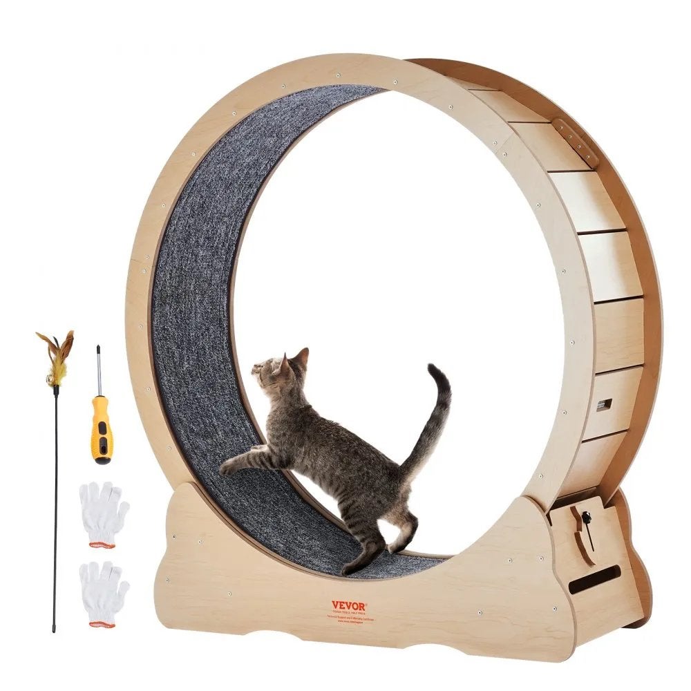 Katten looprad, Ophalen, Zo goed als nieuw, Overig speelgoed