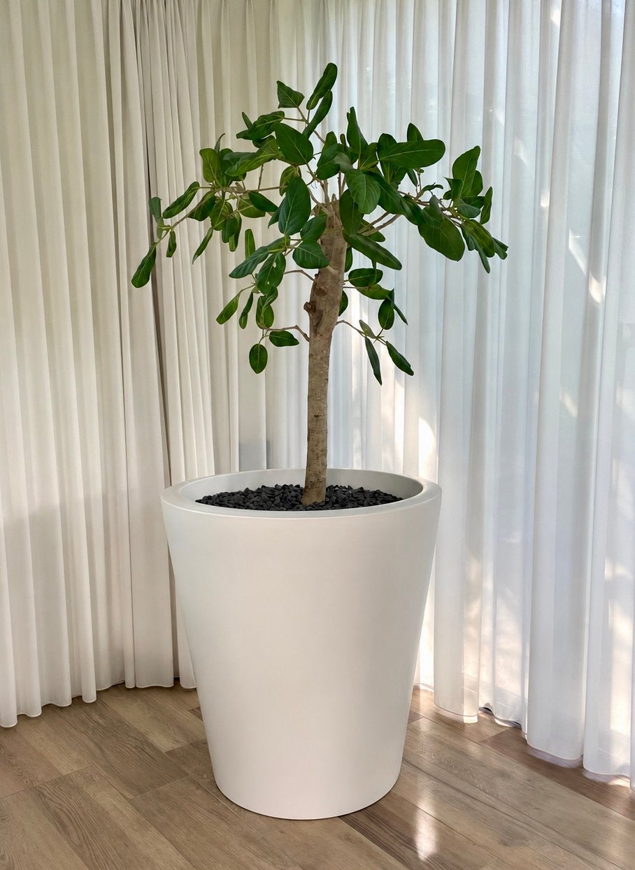 Elho pot met plant wit kunststof, Tuin en Terras, Ophalen, Rond, Kunststof, Binnen