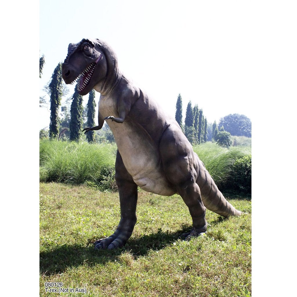 T-REX 14 meter lang - levensgrote Tyrannosaurus rex beeld, Ophalen, Nieuw, Overige typen