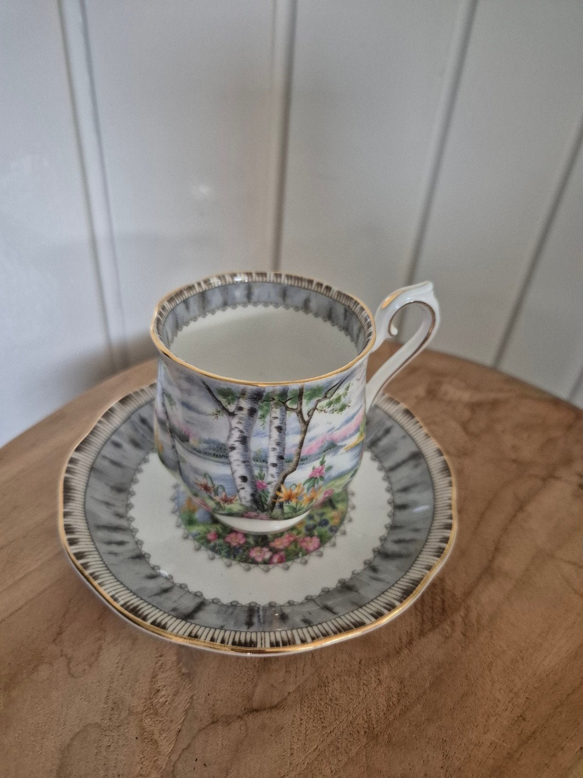Kop en schotel Royal Albert England SilverBirch, Ophalen of Verzenden