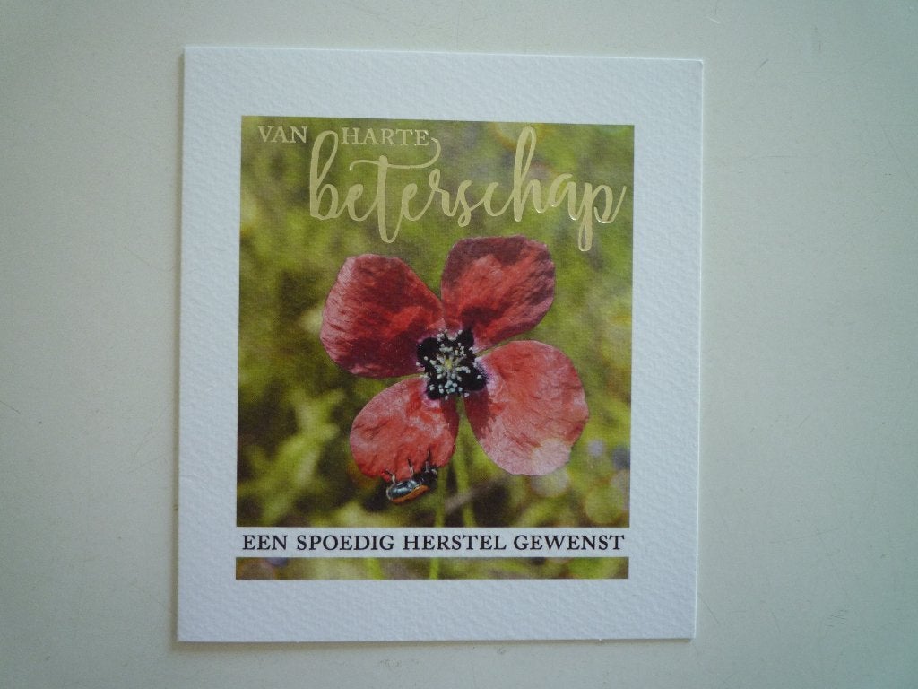 Klaproos papaver bloemen lieveheersbeestje, Verzenden, 1980 tot heden, Overige thema's