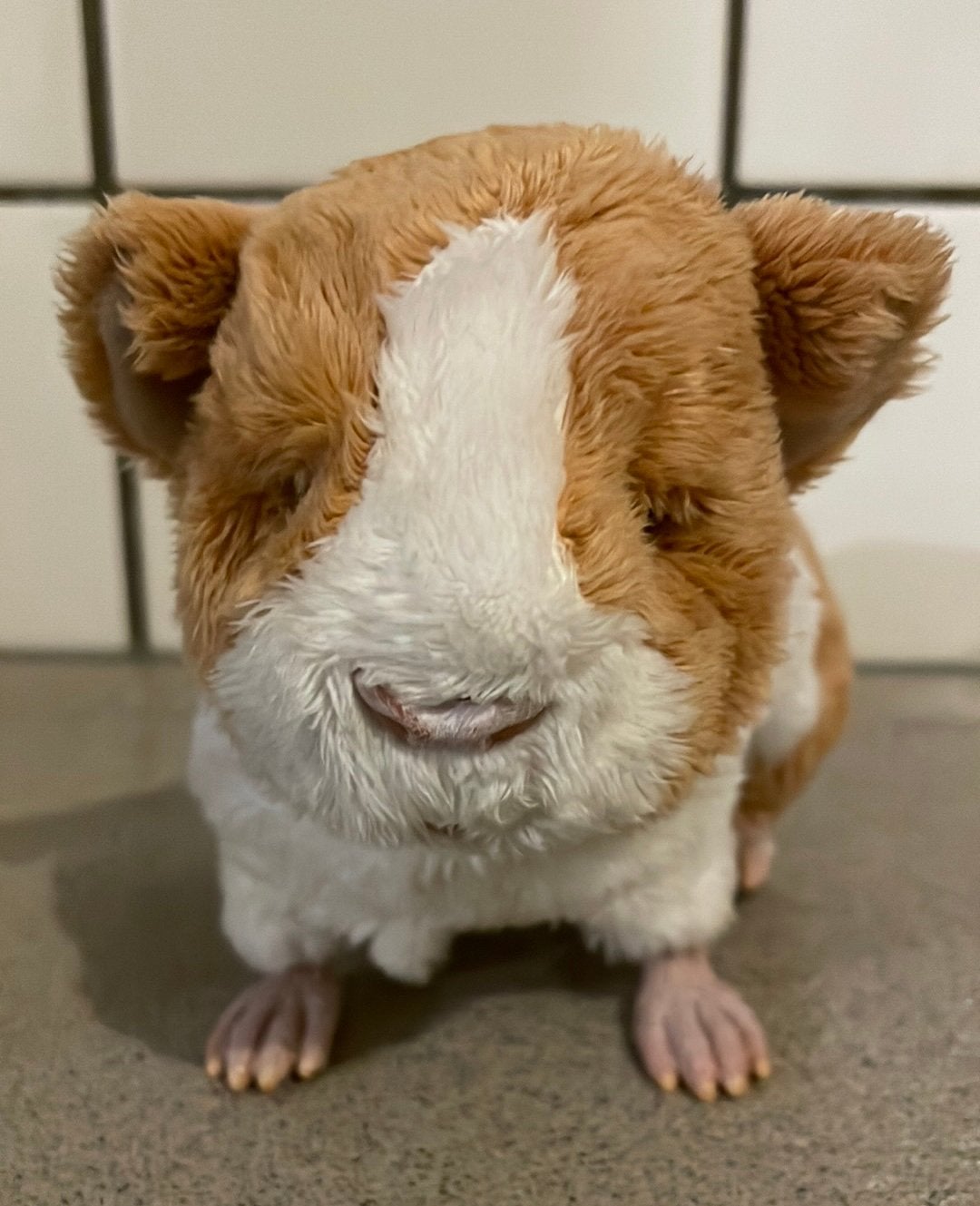 Pluchen cavia knuffel beweegt furreal friends Hasbro, Ophalen of Verzenden, Zo goed als nieuw, Wild dier, Beeldje of Figuurtje