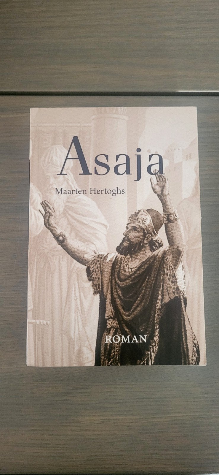 Asaja - Roman van Maarten Hertoghs, Ophalen of Verzenden, Gelezen, Maarten Hertoghs, Nederland