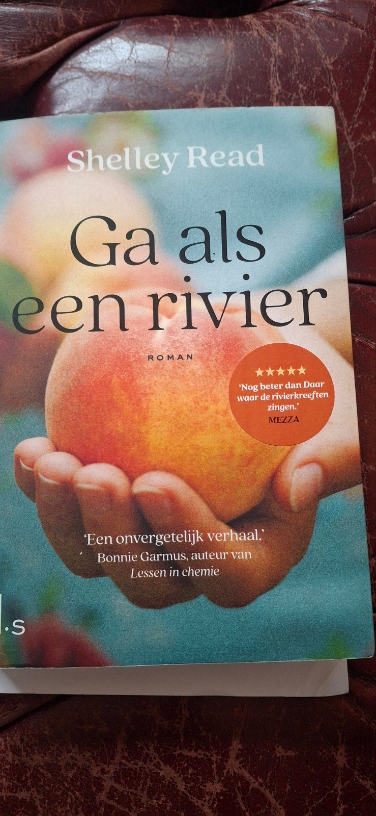 Ga als een rivier - Shelley Read (Roman), Boeken, Ophalen of Verzenden, Gelezen, Shelley Read, Nederland