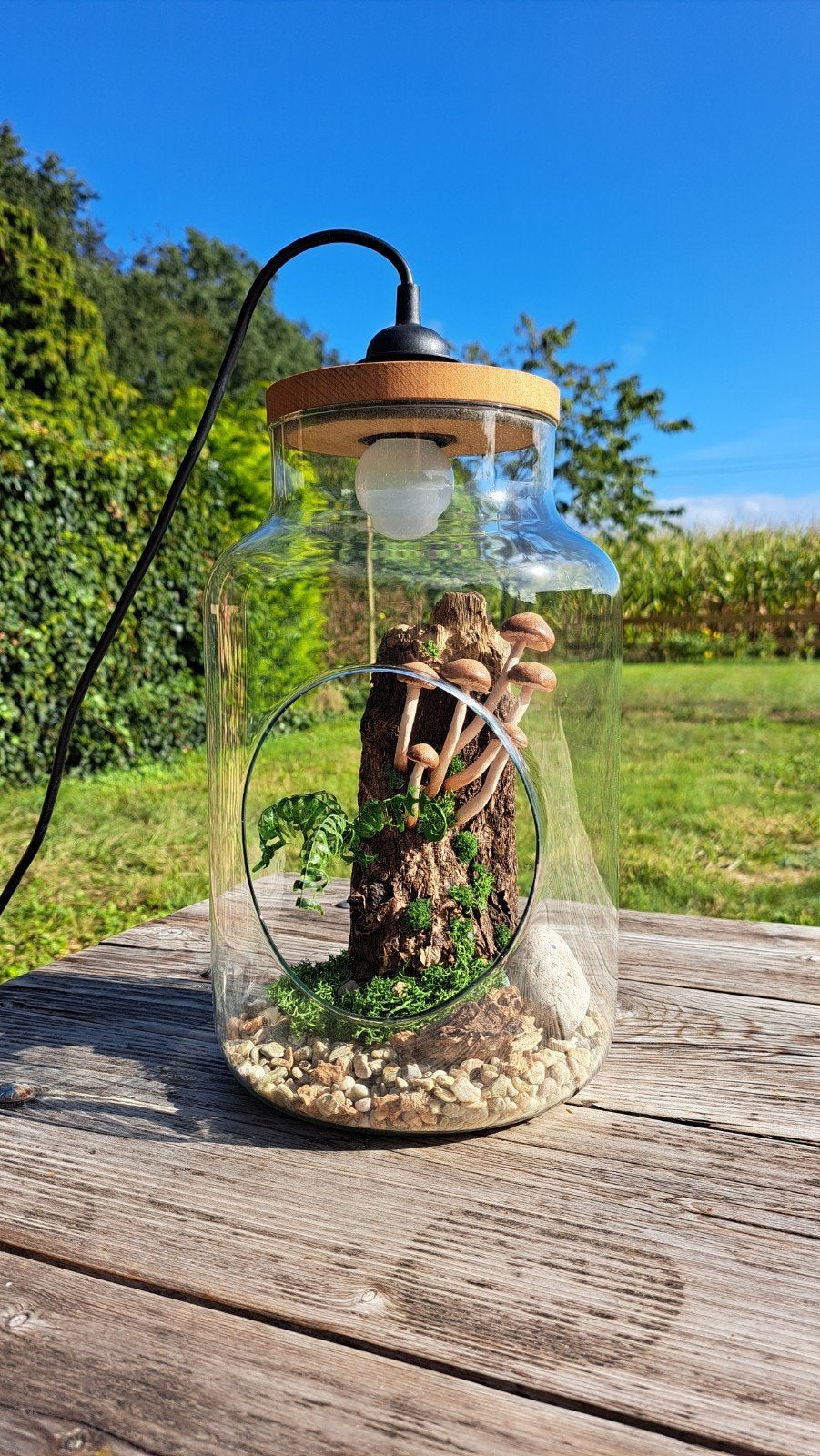Terrarium lamp met kunst paddestoelen en varens., Huis en Inrichting, Groen, Nieuw, E27 (groot), Handgemaakt