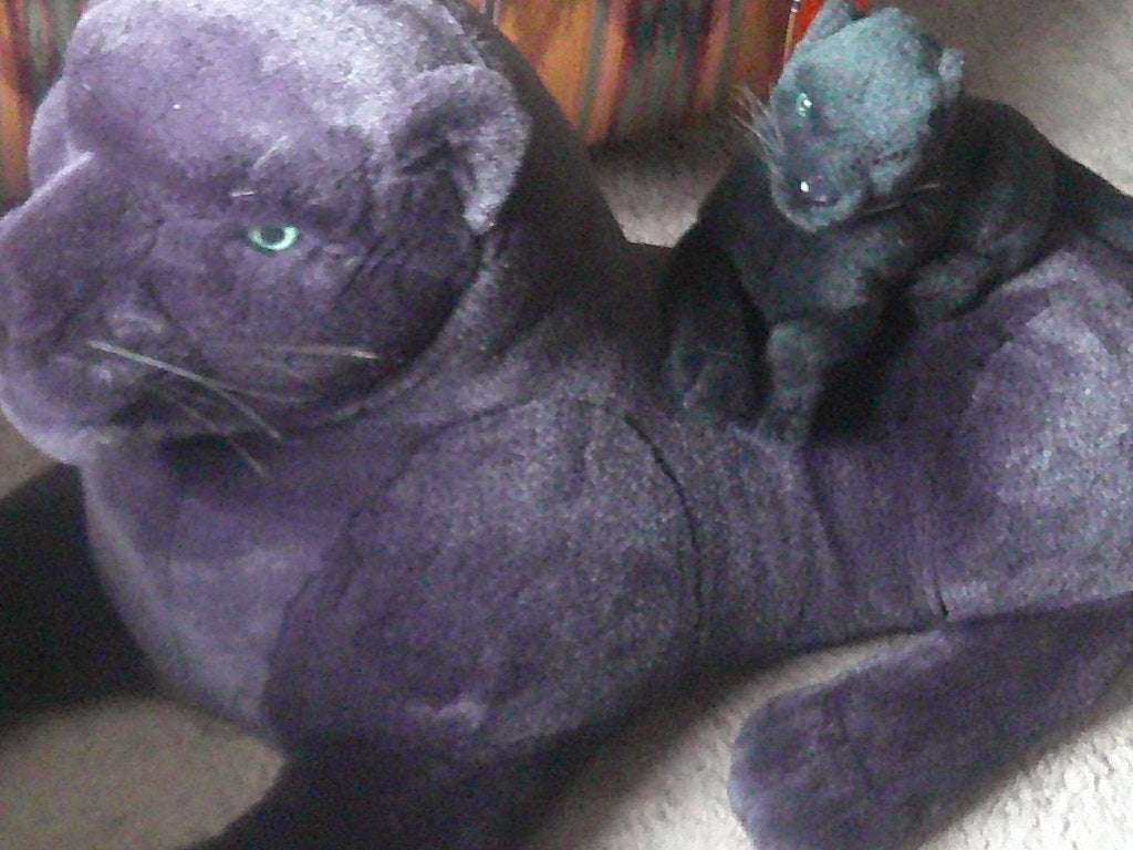 Panter groot en baby panter 10E, Ophalen, Zo goed als nieuw, Overige typen, Overige merken