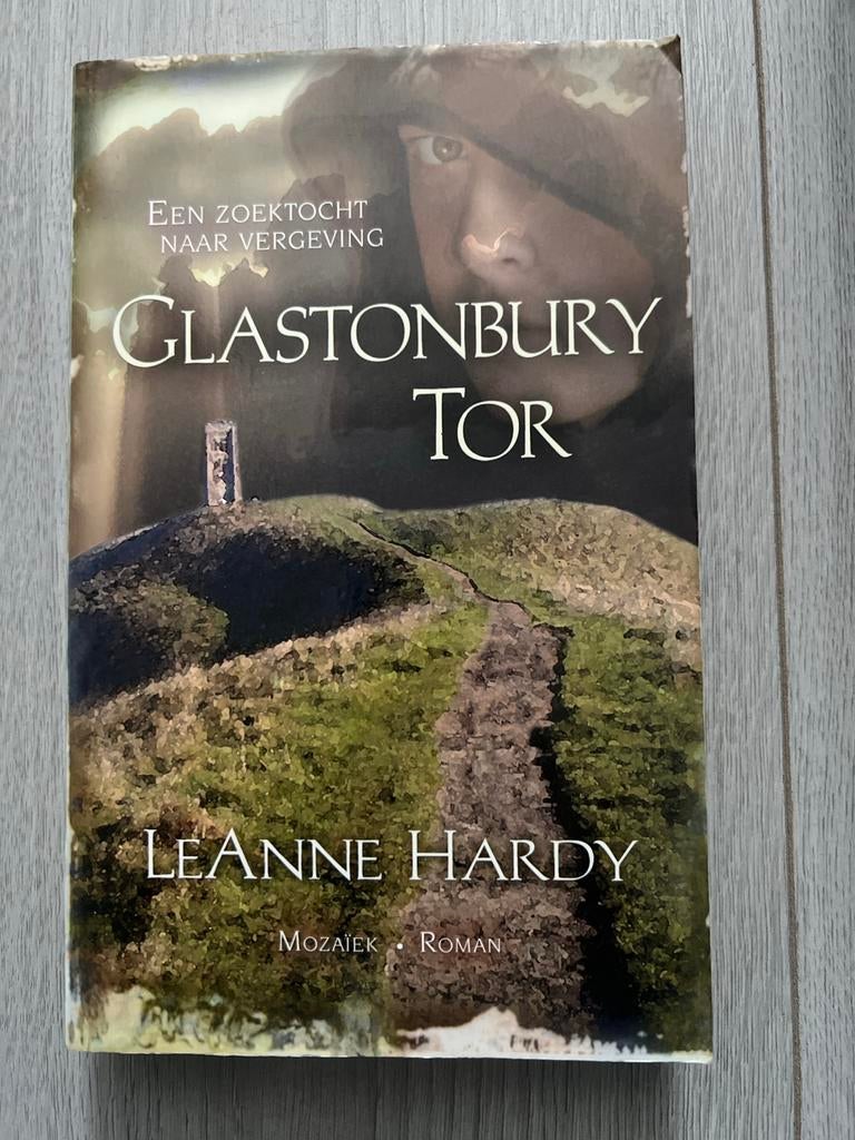 Glastonbury Tor - Leanne Hardy (Roman), Boeken, Ophalen of Verzenden, Gelezen, Nederland