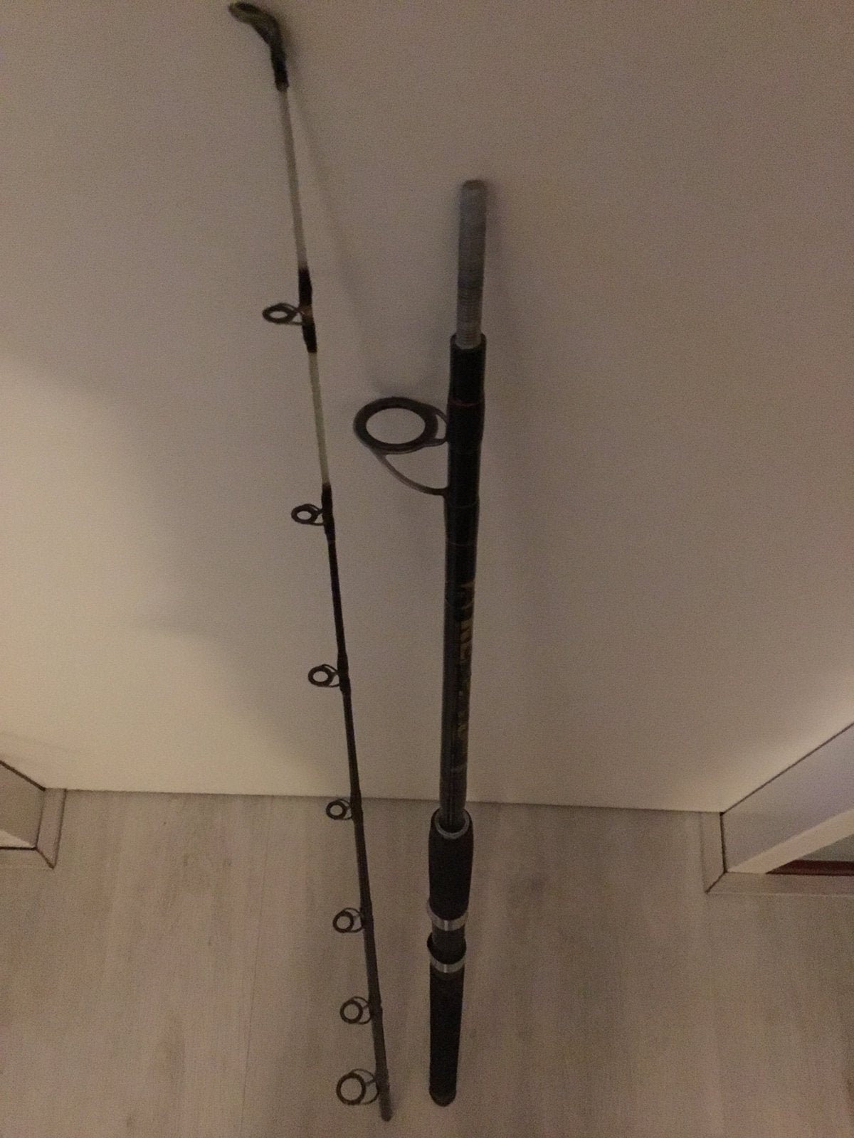 Jigging rod, Ophalen of Verzenden, Zo goed als nieuw, Werphengel