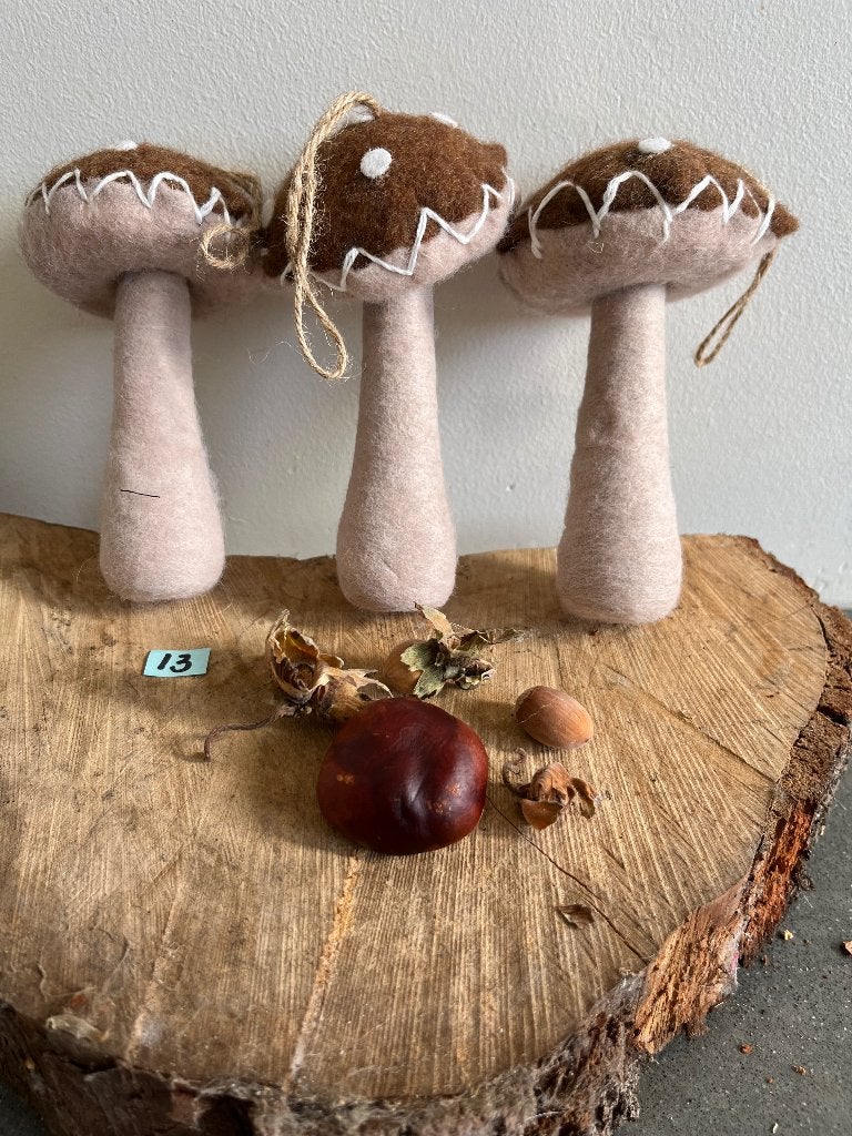 4 Vilten paddestoelen  (13 cm), Hobby en Vrije tijd, Ophalen of Verzenden, Nieuw, Figuurtje(s), Wolvilt