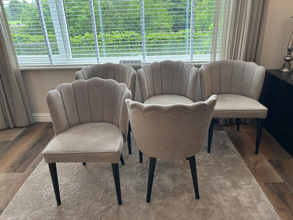5 eetkamerstoelen, Overige kleuren, Ophalen of Verzenden, Zo goed als nieuw, Stof