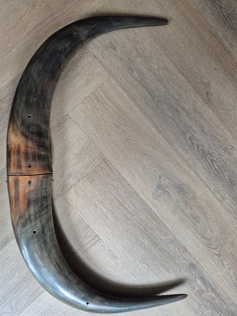 Indische Karbouw hoorns met Wajang en draak inscriptie, Overige typen, Ophalen of Verzenden, 74 cm, Indonesië