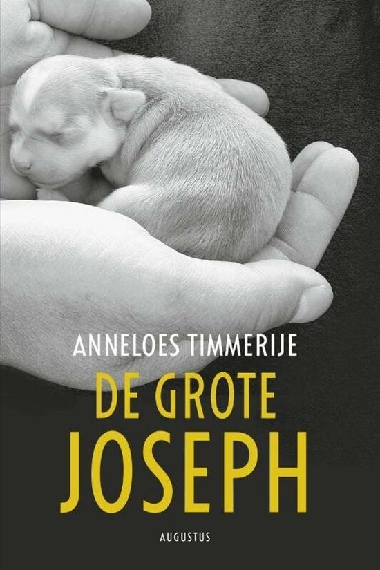 De grote Joseph - Anneloes Timmerije, Ophalen of Verzenden, Nederland, Anneloes Timmerije, Gelezen