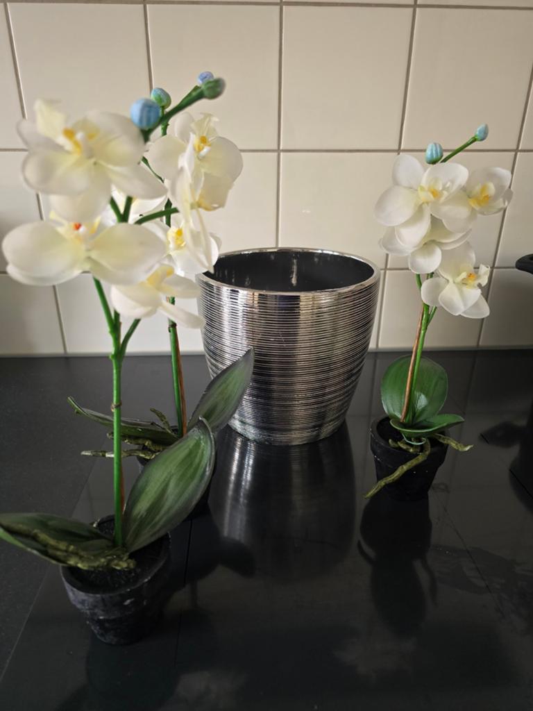Kunst orgideeën met pot, Ophalen, Zo goed als nieuw