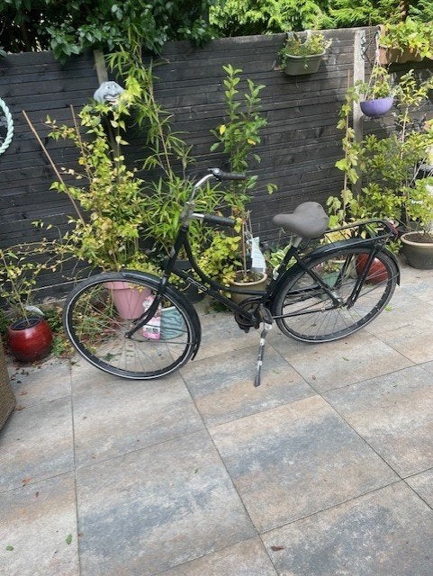 BSP omafiets, Fietsen en Brommers, Terugtraprem, Gebruikt, 47 tot 50 cm, Versnellingen
