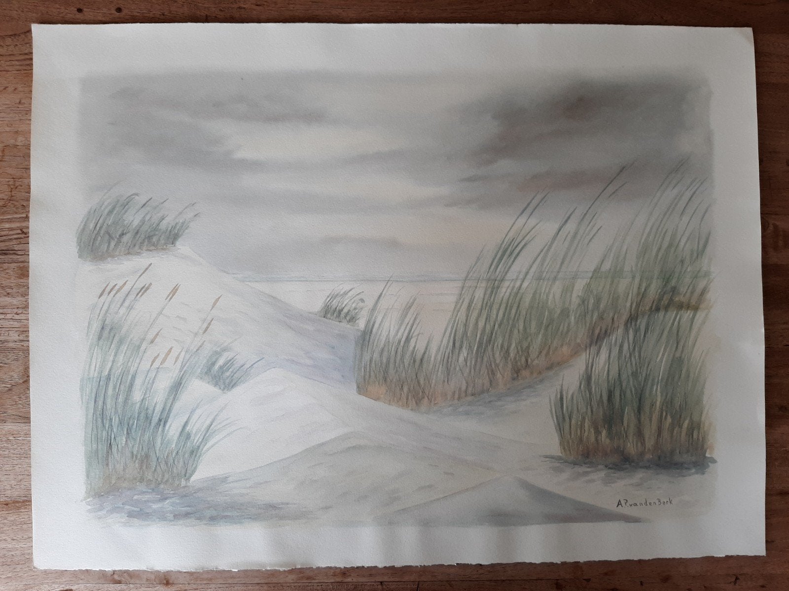 aquarel Terschelling  duinen, Antiek en Kunst, Ophalen of Verzenden