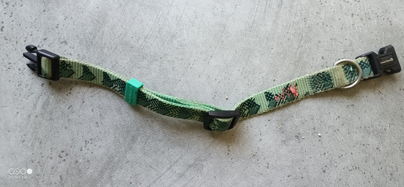 honden halsband, Ophalen of Verzenden, Nieuw