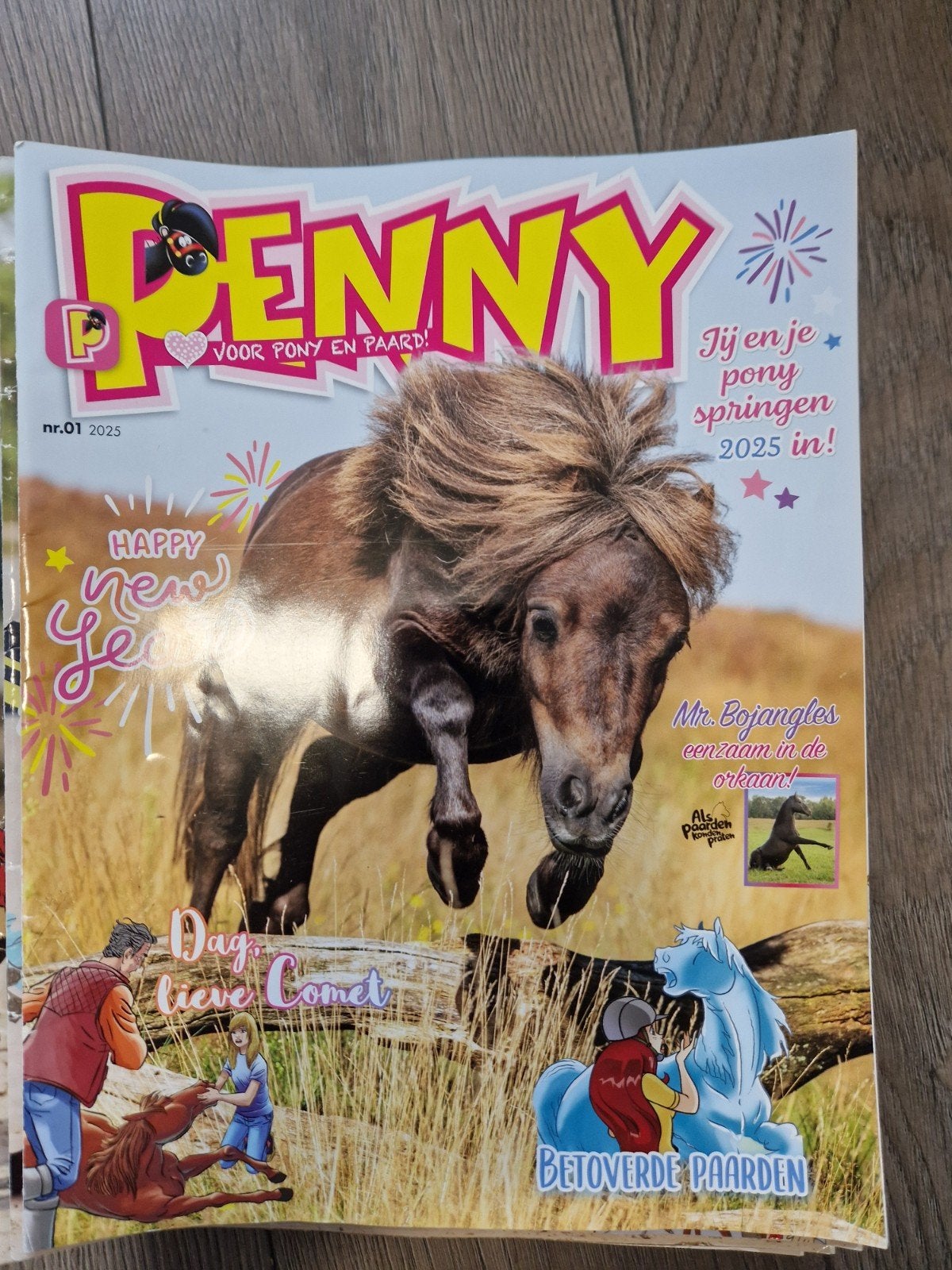 Penny Magazine jaargang 2025, Boeken, Complete serie of reeks, Ophalen, Gelezen