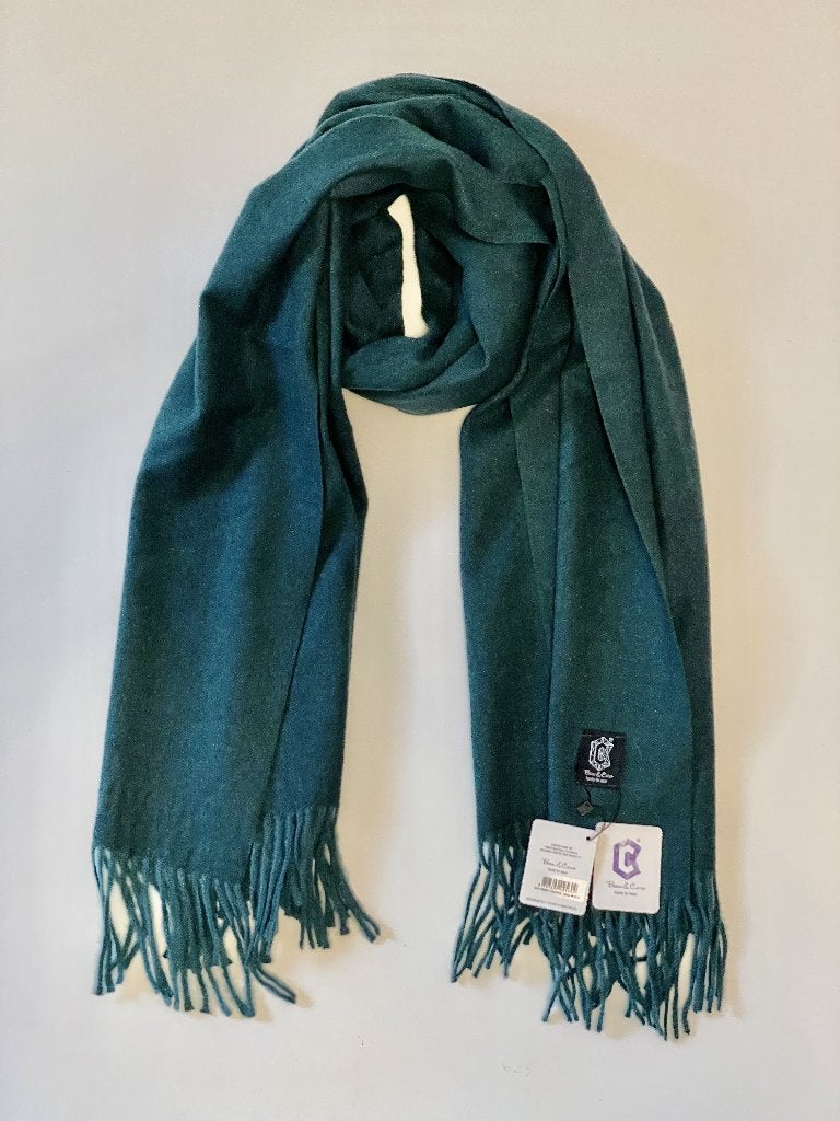 Nieuwe smaragdgroen warme extra grote herfstsjaal Beau&Caro, Kleding | Dames, Maat 46/48 (XL) of groter, Nieuw, Ophalen of Verzenden
