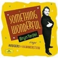 Something Wonderful -Bryn Terfel Sings Rodgers & Hammerstein, Gebruikt, Ophalen of Verzenden, Album, Overige typen