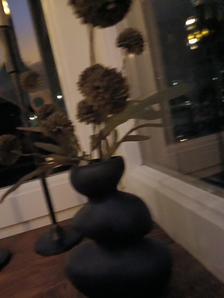 mooi plantjes, Ophalen of Verzenden, Zo goed als nieuw