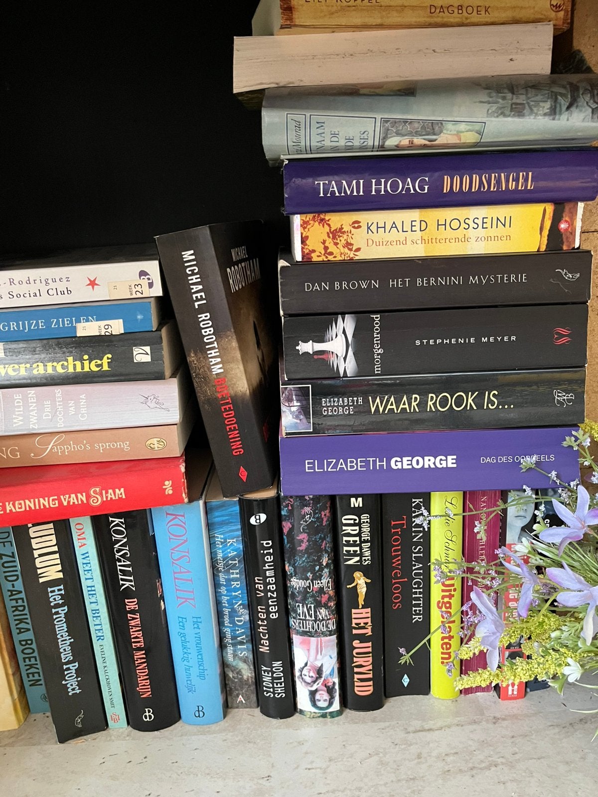 Leesboeken verschillende titels gratis ophalen., Boeken, Ophalen, Gelezen
