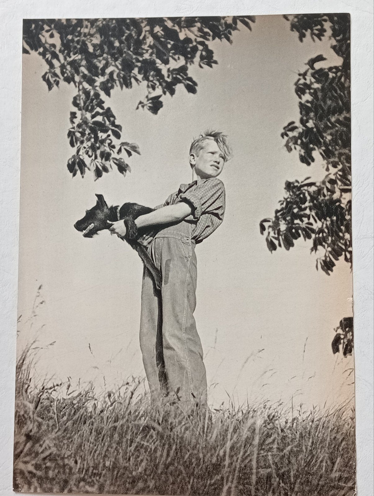 Jongen met hond diepdruk 1954 Duitsland, Verzenden, 1940 tot 1960, Tijdschrift