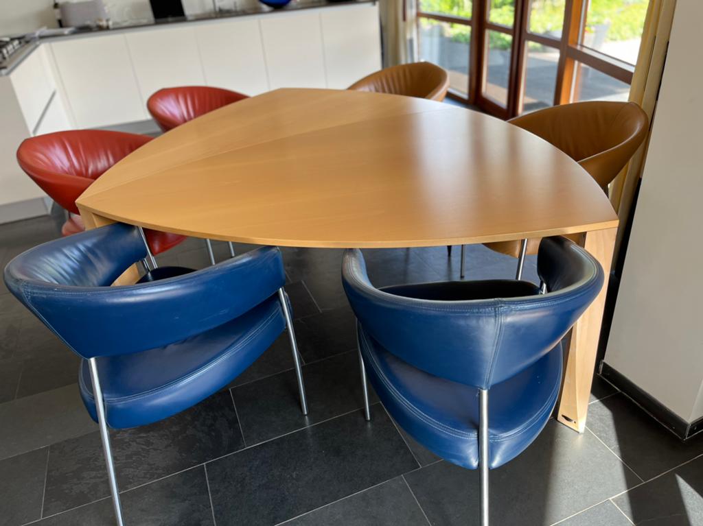 eettafel delta van fabrikant Castelijn plus 6 leren stoelen, Huis en Inrichting, Tafels | Eettafels, Ophalen, Gebruikt, 150 tot 200 cm