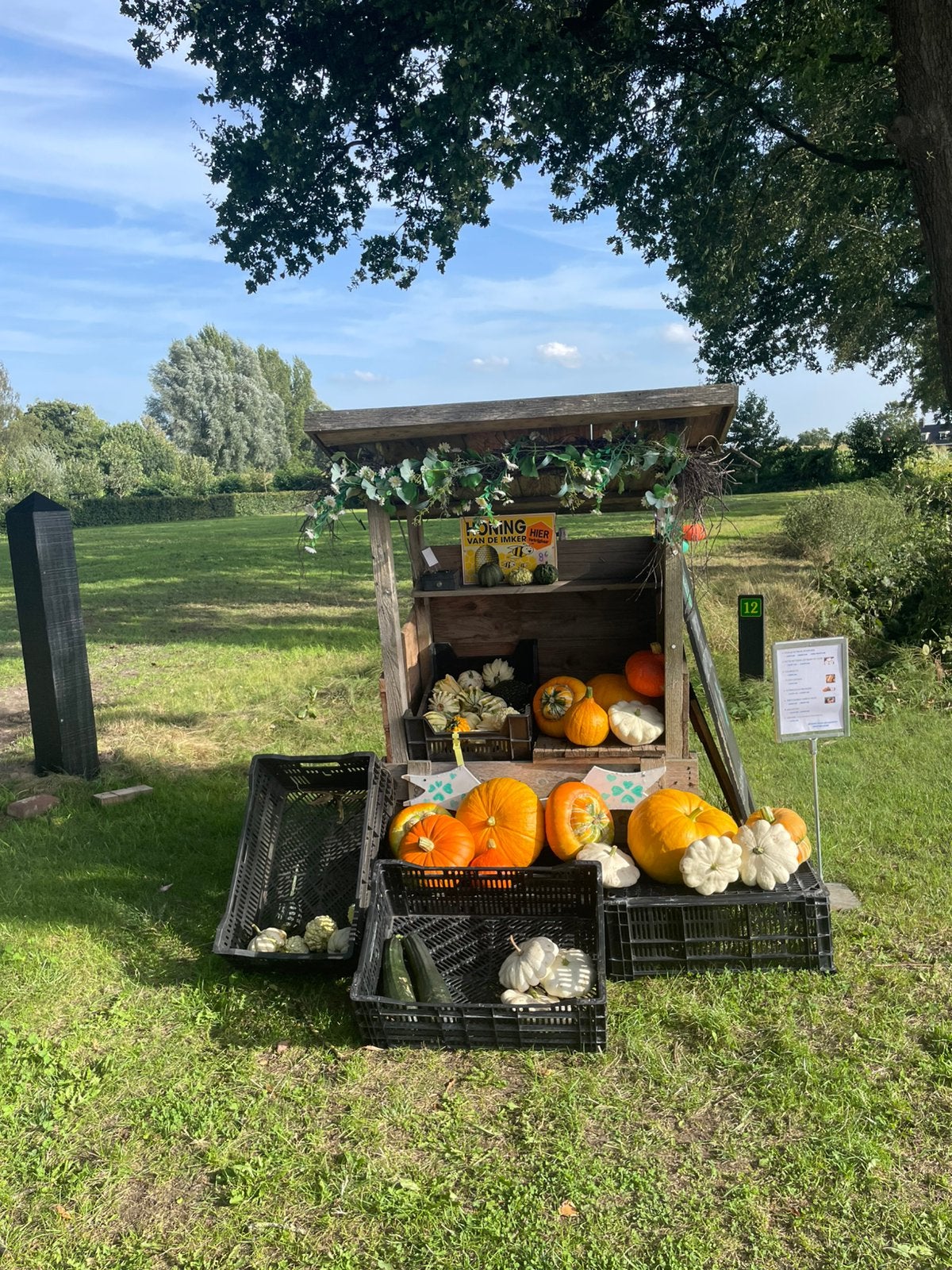 Pompoenen en sierkalebassen zelfbediening, Ophalen of Verzenden, Volle zon