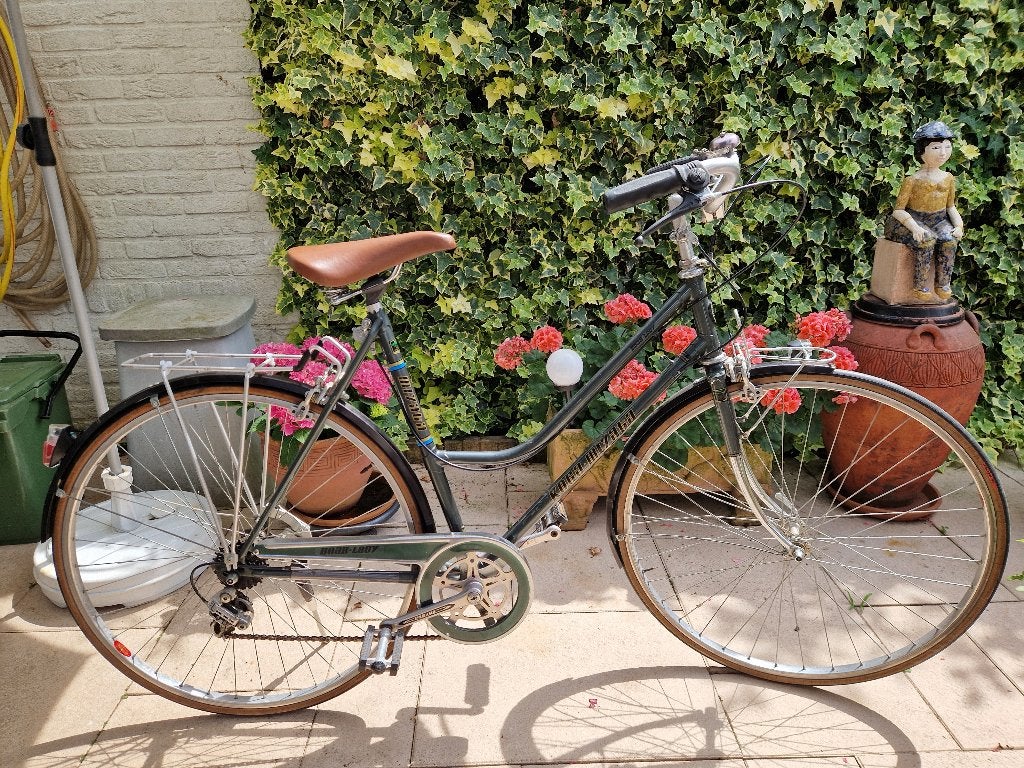Koga kleine maat 52cm, Gebruikt, Velgrem, 50 tot 53 cm, Ophalen