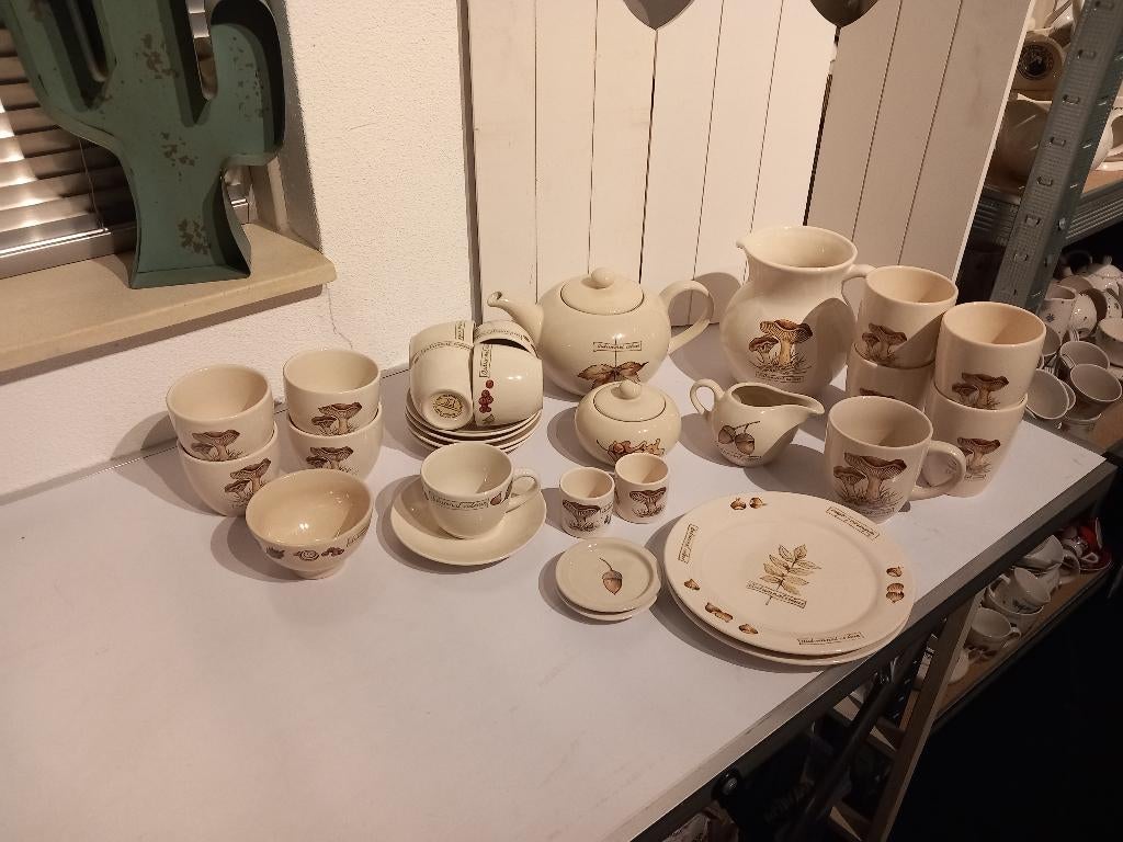 Jet servies Autumnal colour., Keramiek, Overige typen, Ophalen of Verzenden, Zo goed als nieuw