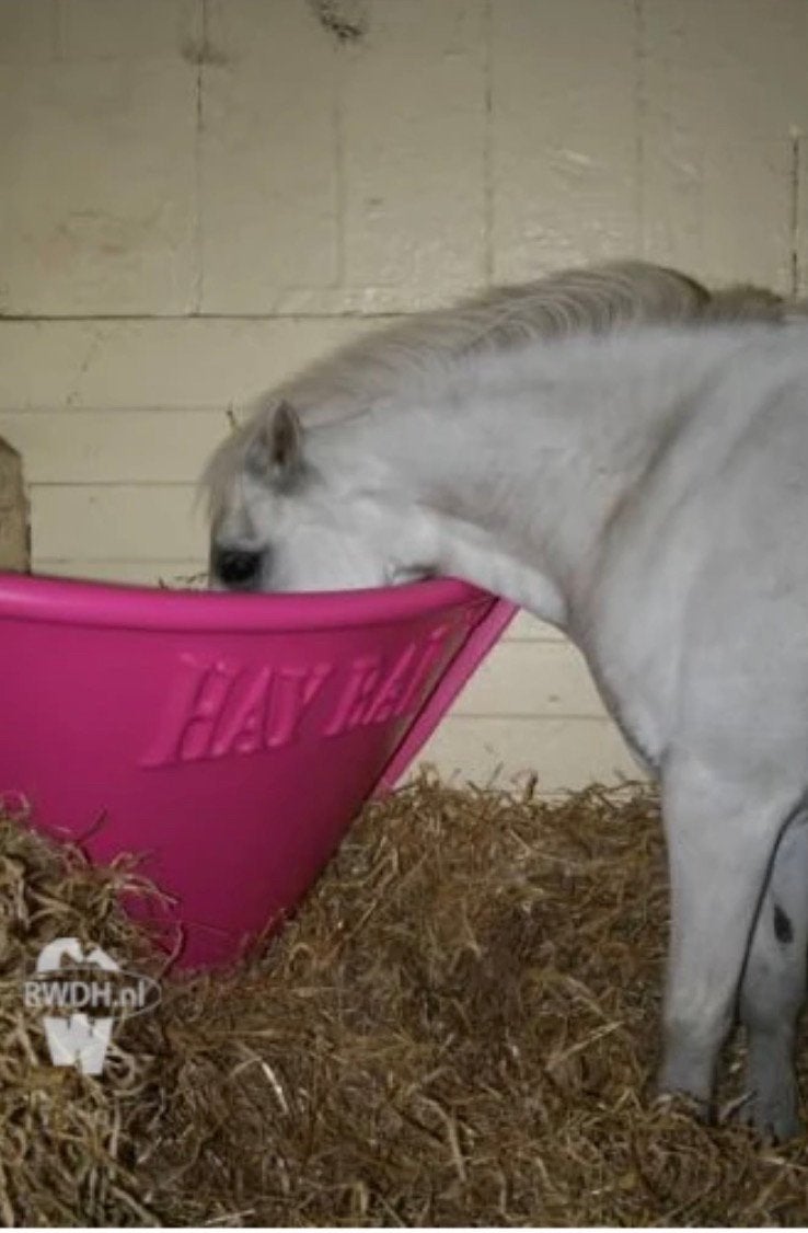 Haybar pony, Ophalen, Gebruikt