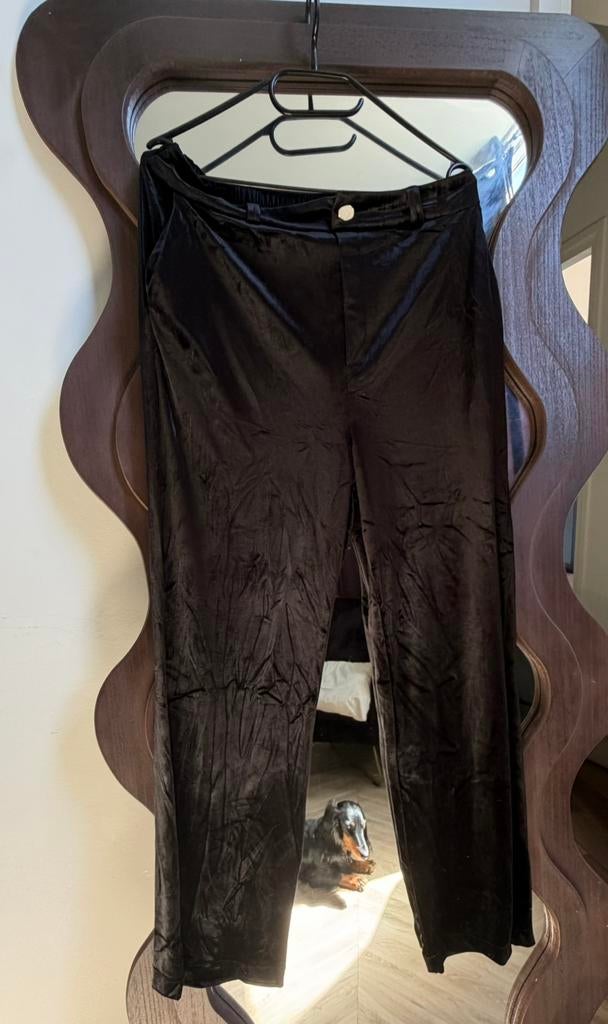 Mooie zwarte velvet pantalon by Graham & Spencer los angeles, Zwart, Maat 46/48 (XL) of groter, Ophalen of Verzenden, Zo goed als nieuw