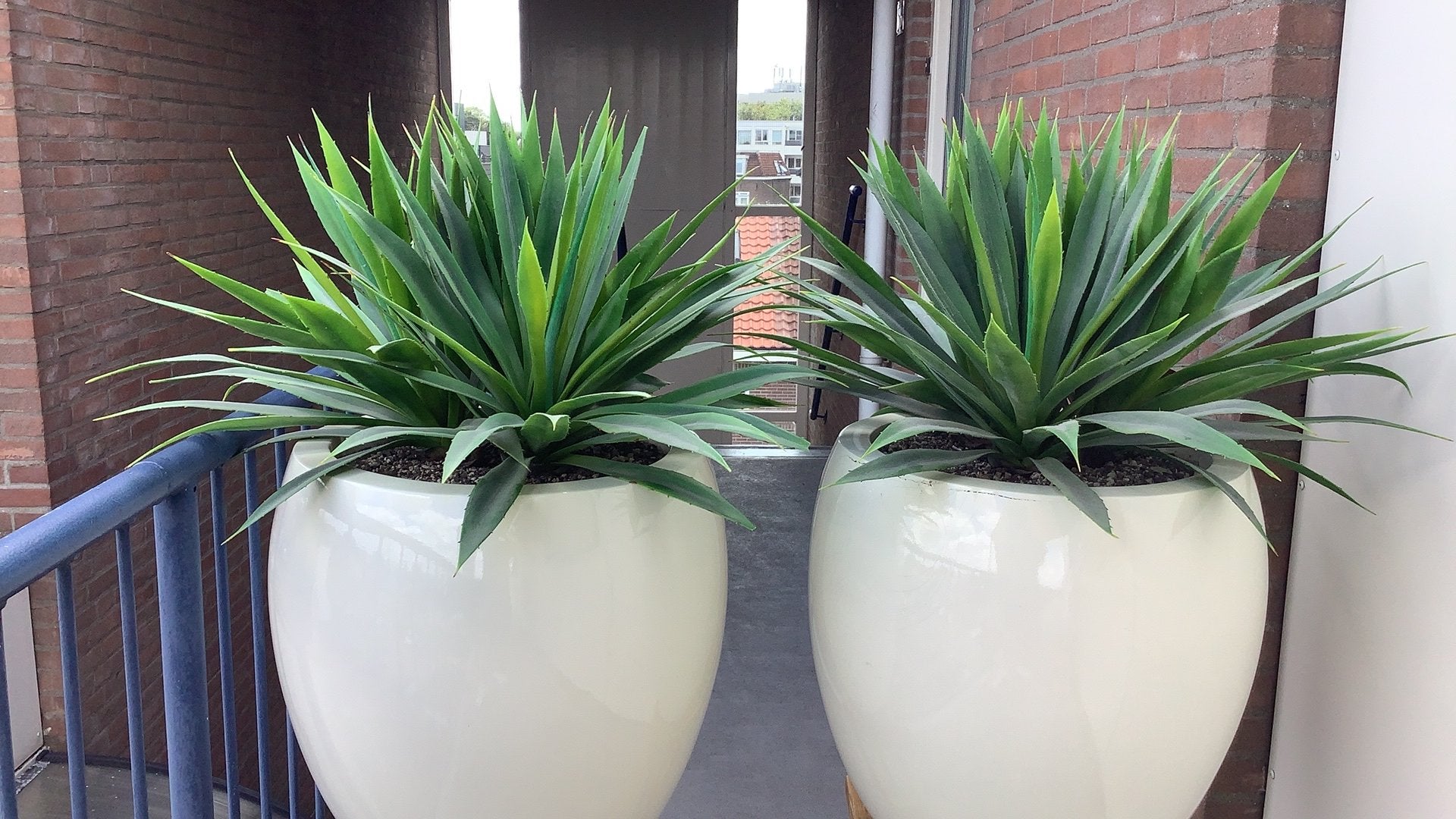 Polyester potten met kunst varens, Ophalen, Gebruikt, Kunstplant, Wit