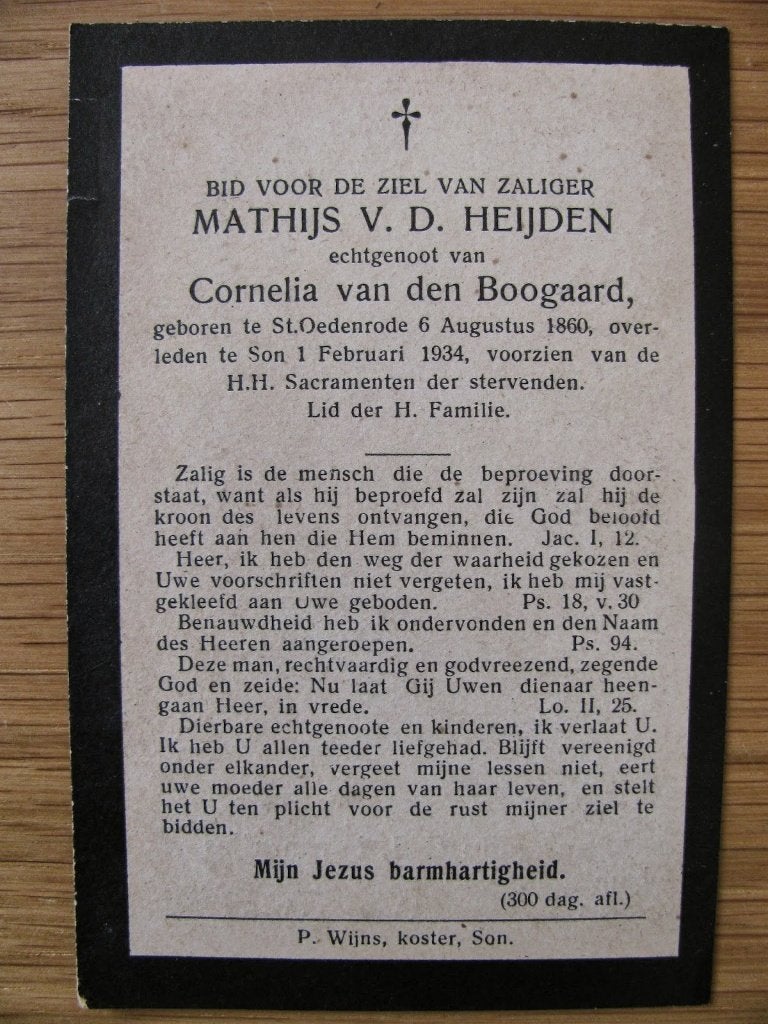 Gezocht Bidprentje van Mathijs van der Heijden st oedenrode, Ophalen of Verzenden, Bidprentje