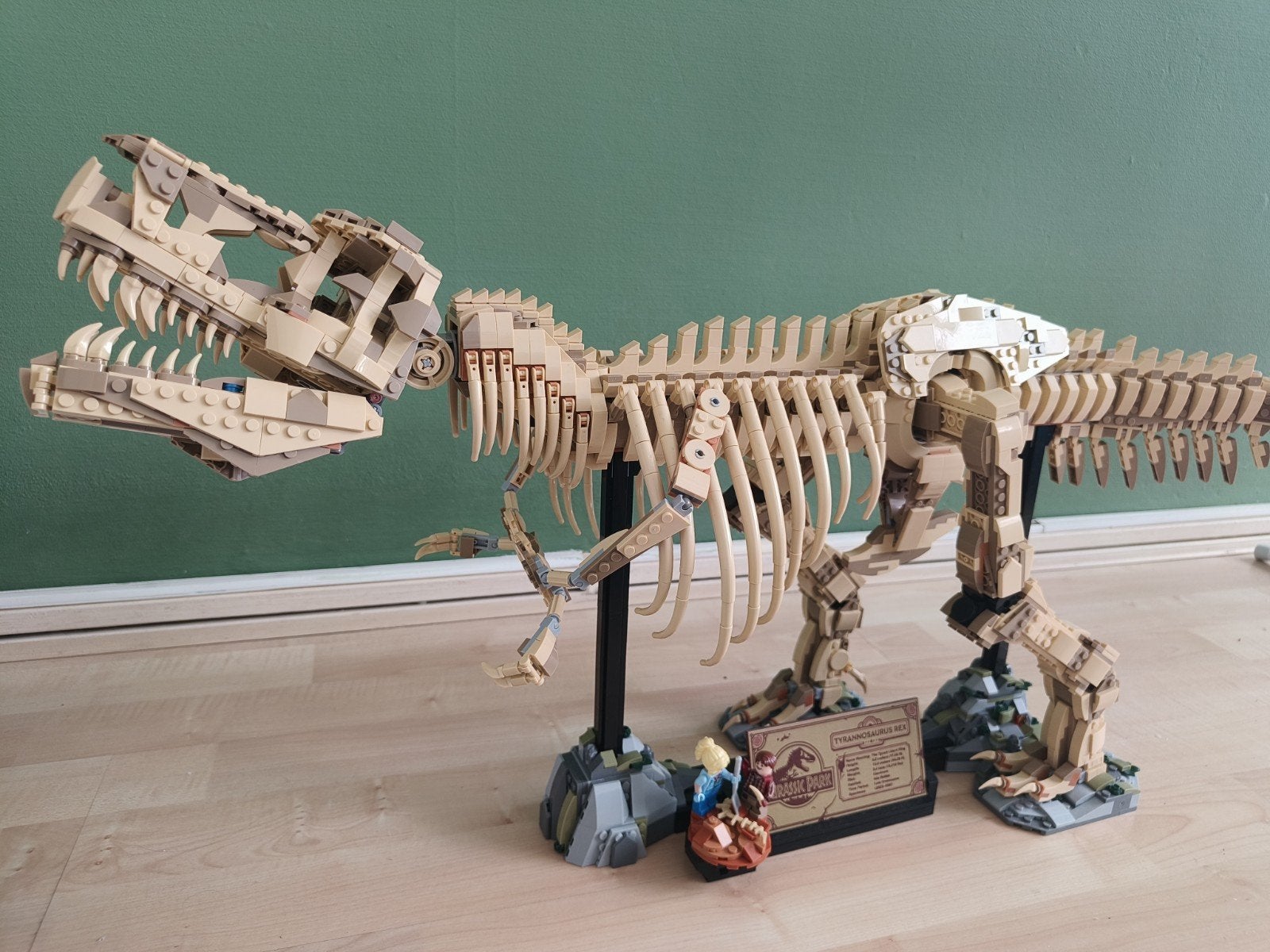 Jurassic Park T-Rex Skelet, Ophalen of Verzenden, Zo goed als nieuw, Overige merken
