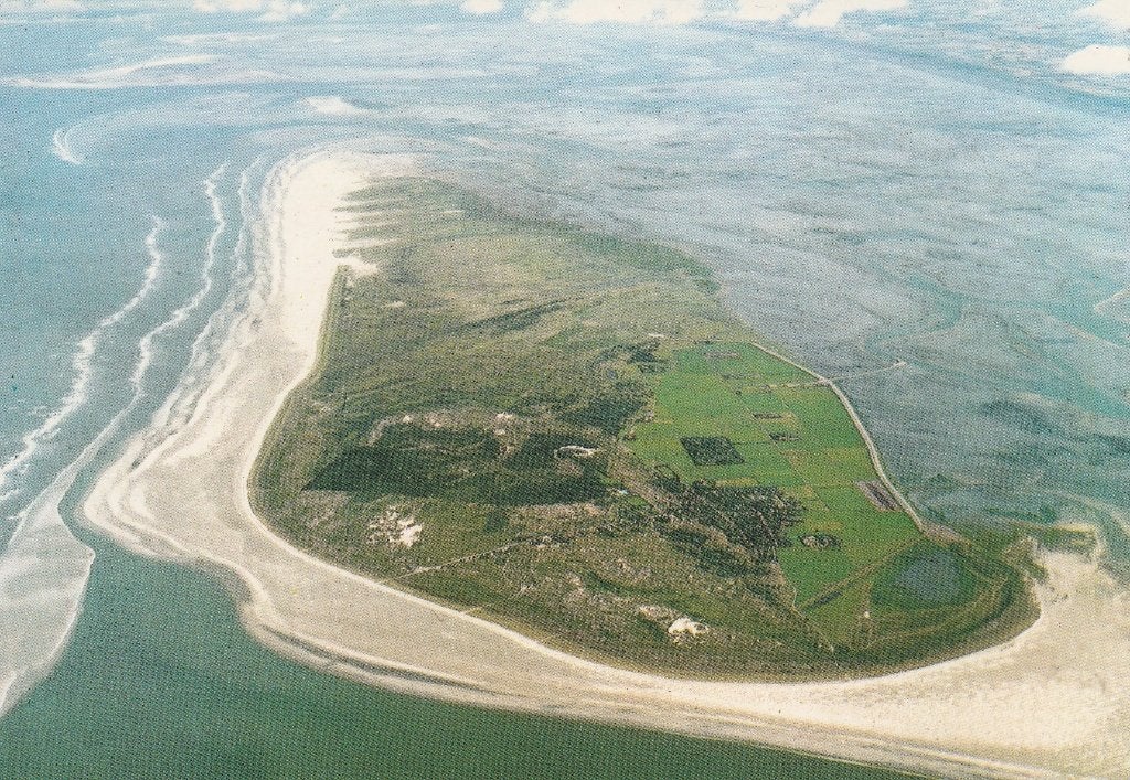 Schiermonnikoog, Ophalen of Verzenden, 1980 tot heden, Gelopen, Waddeneilanden