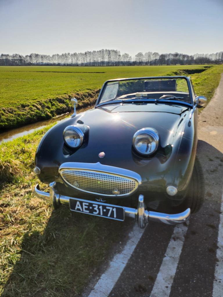 Austin Healey Sprite MK1Frogeye 1959, 670 kg, Particulier, Geïmporteerd, Groen